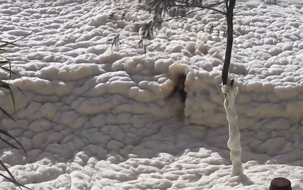 ชายยืนให้คลื่นโฟมซัด กลางปรากฏการณ์ทะเลโฟมในออสเตรเลีย ชายยืนให้คลื่นโฟมซัด กลางปรากฏการณ์ทะเลโฟมในออสเตรเลีย