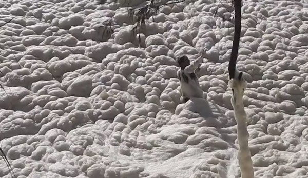 ชายยืนให้คลื่นโฟมซัด กลางปรากฏการณ์ทะเลโฟมในออสเตรเลีย ชายยืนให้คลื่นโฟมซัด กลางปรากฏการณ์ทะเลโฟมในออสเตรเลีย