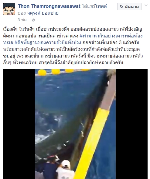 ชาวประมงยอมสละตัดอวน ปล่อยฉลามวาฬกลับทะเล ชาวประมงยอมสละตัดอวน ปล่อยฉลามวาฬกลับทะเล