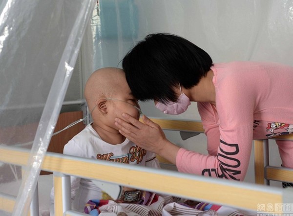 ฮีโร่สไปเดอร์มัม ฮีโร่สไปเดอร์มัม