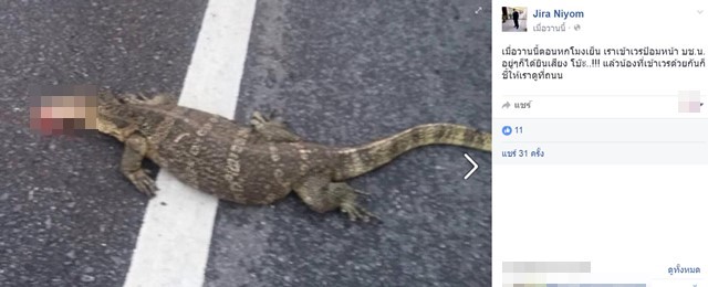 ช่วยตัวเงินตัวทอง ช่วยตัวเงินตัวทอง