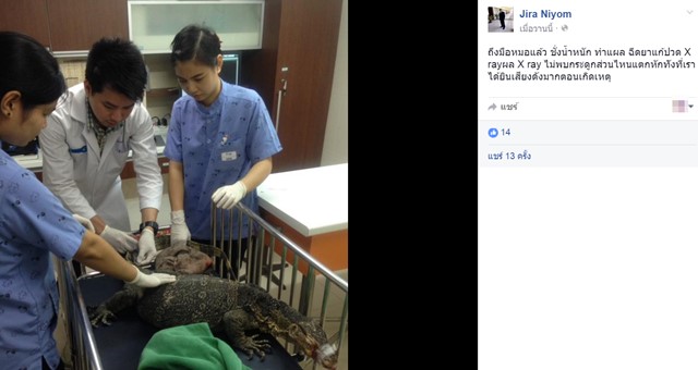 ช่วยตัวเงินตัวทอง ช่วยตัวเงินตัวทอง