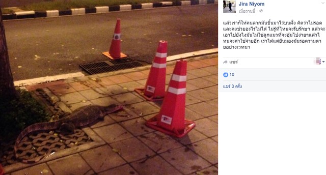 ช่วยตัวเงินตัวทอง ช่วยตัวเงินตัวทอง