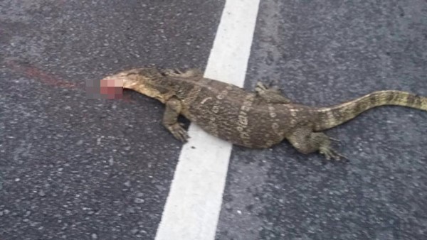 ช่วยตัวเงินตัวทอง ช่วยตัวเงินตัวทอง