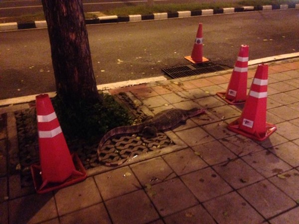 ช่วยตัวเงินตัวทอง ช่วยตัวเงินตัวทอง