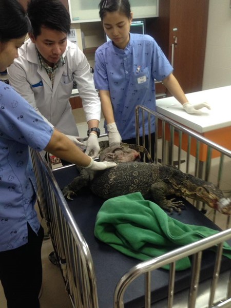 ช่วยตัวเงินตัวทอง ช่วยตัวเงินตัวทอง