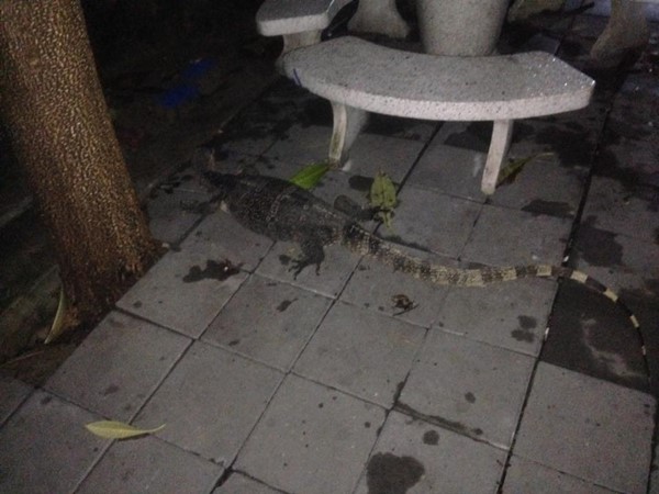 ช่วยตัวเงินตัวทอง ช่วยตัวเงินตัวทอง