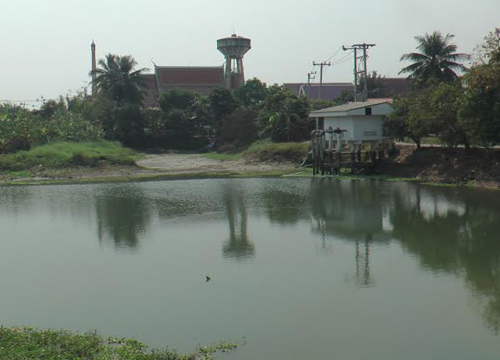 เขื่อนลำตะคอง เขื่อนลำตะคอง