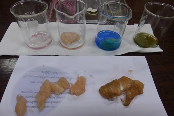 อ.เจษฎา เด่นดวงบริพันธ์ อ.เจษฎา เด่นดวงบริพันธ์