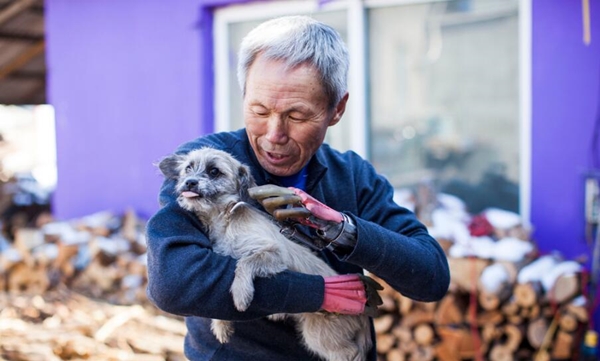 แขนเทียม แขนเทียม