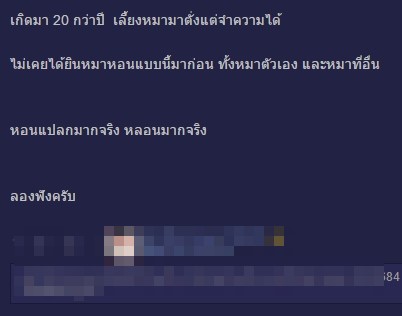 หนุ่มรักท่องเที่ยวอัดคลิปเสียงหมาหอน หวีดสยองคล้ายเสียงเปรต หนุ่มรักท่องเที่ยวอัดคลิปเสียงหมาหอน หวีดสยองคล้ายเสียงเปรต