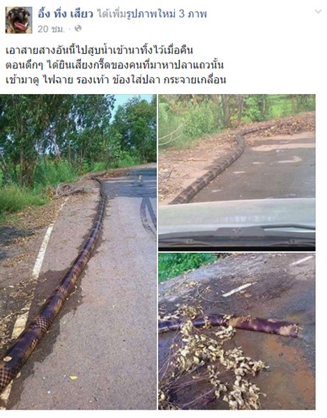 สายยาง สายยาง