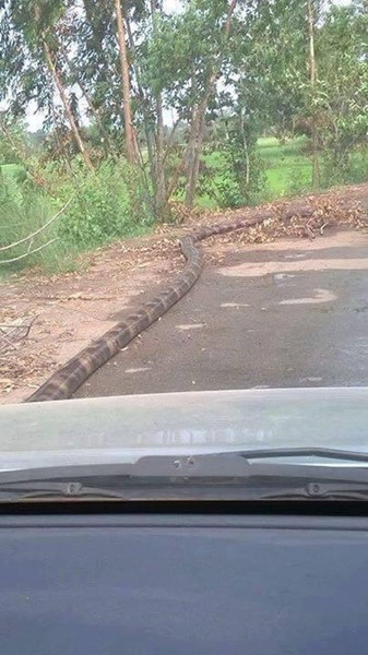 สายยาง สายยาง