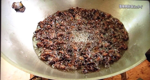 นรกไทยทัวร์ นรกไทยทัวร์