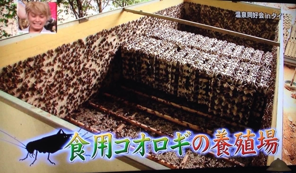 นรกไทยทัวร์ นรกไทยทัวร์