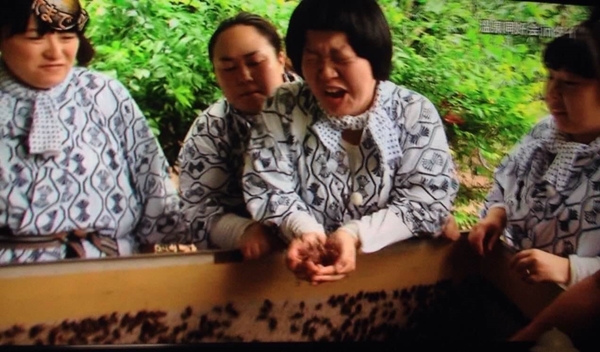 นรกไทยทัวร์ นรกไทยทัวร์