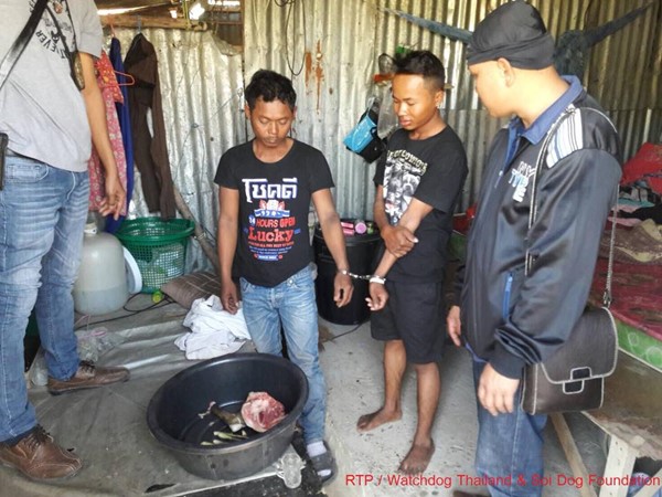 กินหมา กินหมา