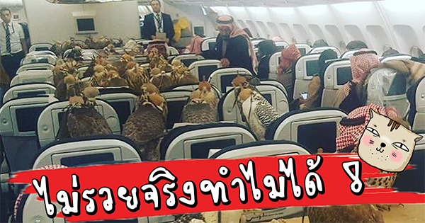 เจ้าชายซาอุฯ เจ้าชายซาอุฯ