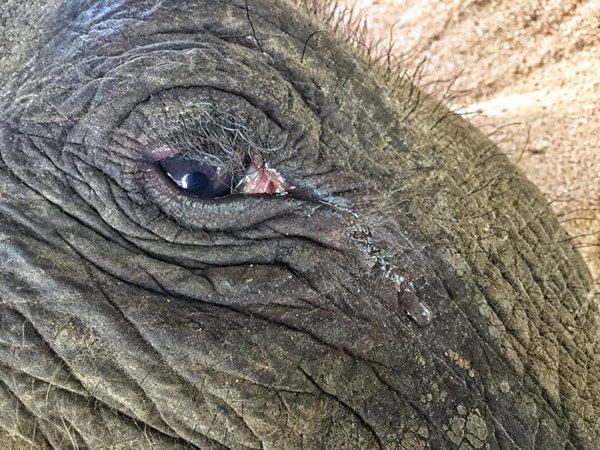 ไอยราเมย์ ไอยราเมย์