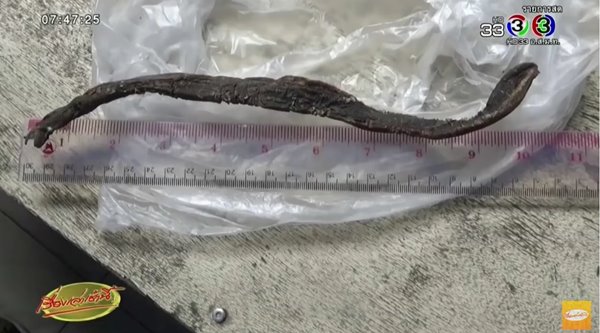 ปลิง ปลิง