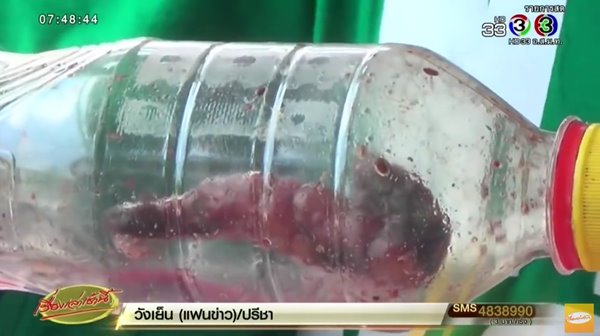 ปลิง ปลิง