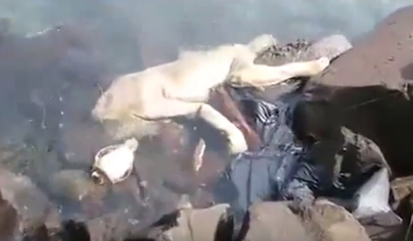 ซูปาคาบรา ซูปาคาบรา