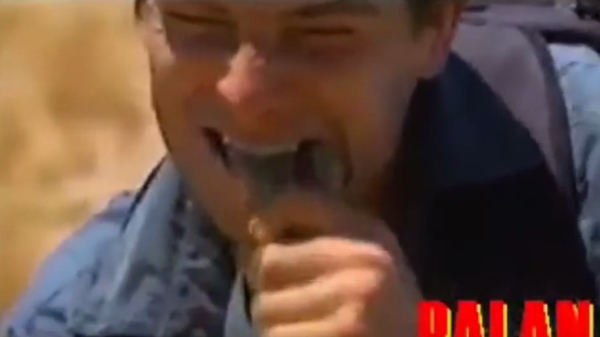 แบร์ กริลส์ แบร์ กริลส์