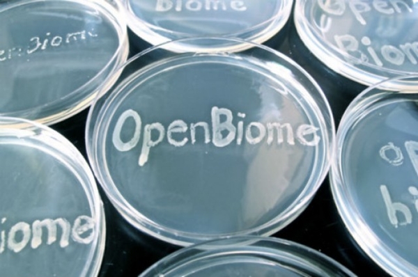 บริจาคอุจจาระ บริจาคอุจจาระ