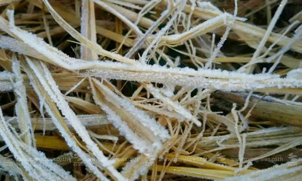 แม่คะนิ้ง แม่คะนิ้ง