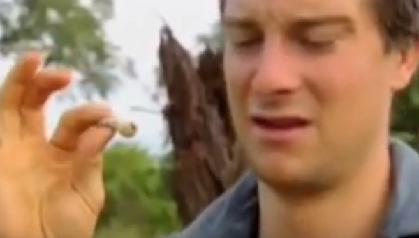 แบร์ กริลส์ แบร์ กริลส์