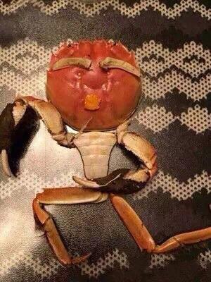 เทศกาลไหว้พระจันทร์ของจีน เทศกาลไหว้พระจันทร์ของจีน