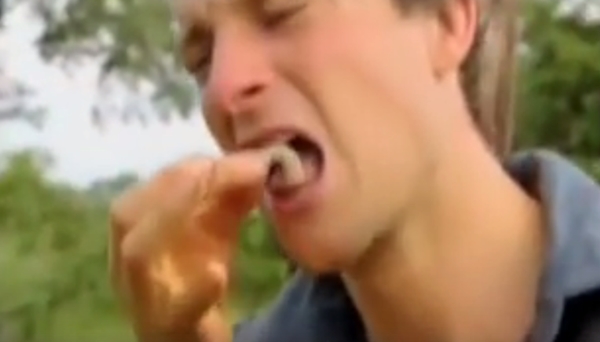 แบร์ กริลส์ แบร์ กริลส์