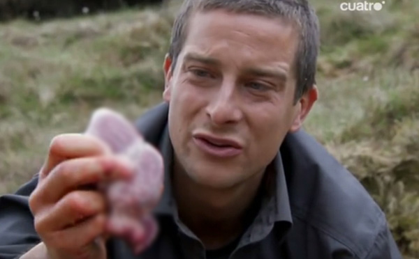 แบร์ กริลส์ แบร์ กริลส์