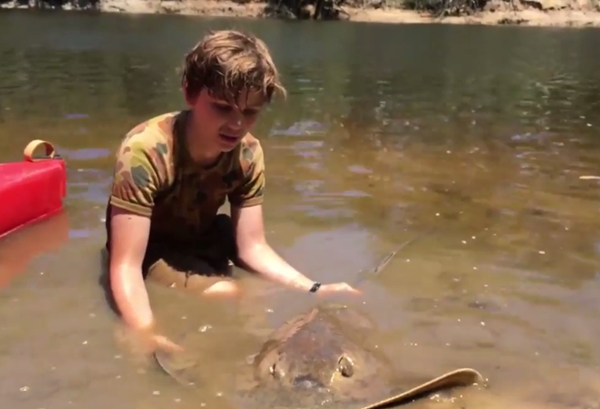 คลิปนาทีอัศจรรย์ เด็ก 12 ช่วยทำคลอดปลากระเบน คลิปนาทีอัศจรรย์ เด็ก 12 ช่วยทำคลอดปลากระเบน