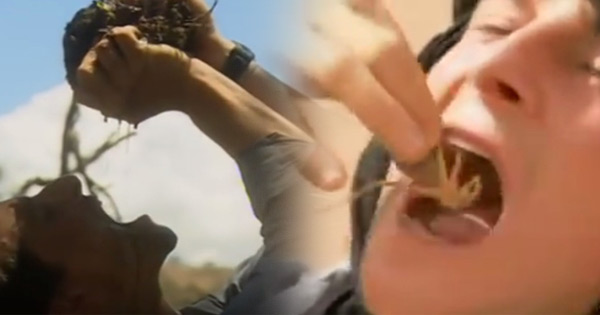 แบร์ กริลส์ แบร์ กริลส์