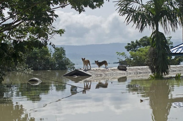 น้ำท่วมพม่า น้ำท่วมพม่า