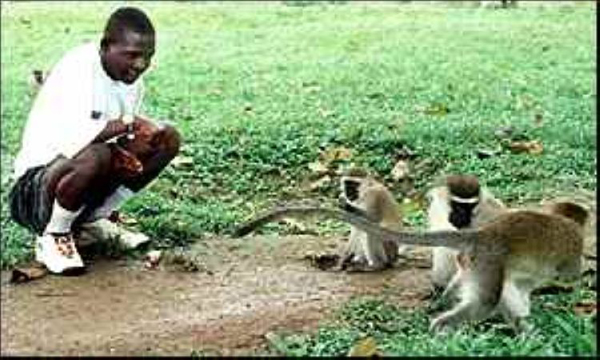 เปิดแฟ้มเรื่องแปลก 7 ลูกมนุษย์ที่เติบโตด้วยการเลี้ยงดูจากสัตว์ เปิดแฟ้มเรื่องแปลก 7 ลูกมนุษย์ที่เติบโตด้วยการเลี้ยงดูจากสัตว์