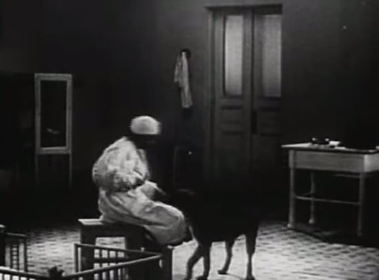 เปิดการทดลองสุดสะพรึงของโซเวียต ...การคืนชีพของสิ่งมีชีวิต เปิดการทดลองสุดสะพรึงของโซเวียต ...การคืนชีพของสิ่งมีชีวิต