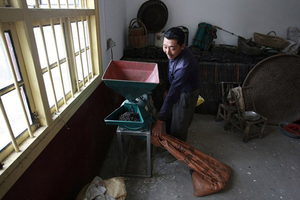 จีนทำอึ้ง ดื่มยาขี้วัวขี้แกะ เชื่อเป็นกลเม็ดต้านมะเร็ง จีนทำอึ้ง ดื่มยาขี้วัวขี้แกะ เชื่อเป็นกลเม็ดต้านมะเร็ง