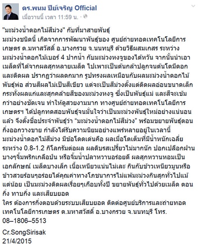 มะม่วงของแท้ต้องแบบนี้ !! มะม่วงน้ำดอกไม้สีม่วง มะม่วงของแท้ต้องแบบนี้ !! มะม่วงน้ำดอกไม้สีม่วง