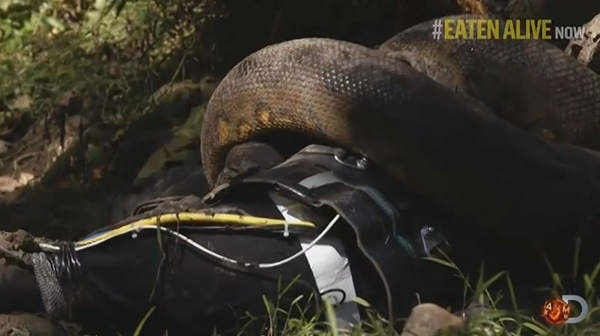 อนาคอนด้า อนาคอนด้า