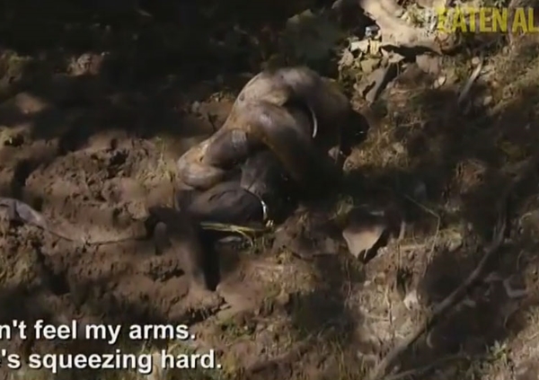 อนาคอนด้า อนาคอนด้า