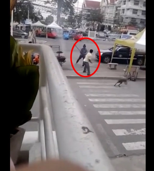 คลิปรถตุ๊ก ๆ VS รถรอบเมือง คลิปรถตุ๊ก ๆ VS รถรอบเมือง