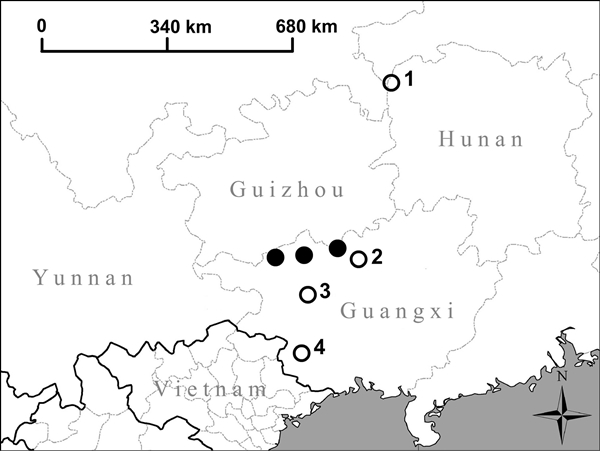 หอยทาก หอยทาก