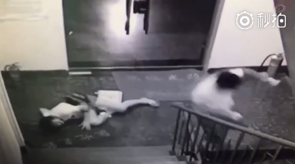 คลิปไอ้หื่นใจโหด บุกปล้ำสาว คลิปไอ้หื่นใจโหด บุกปล้ำสาว