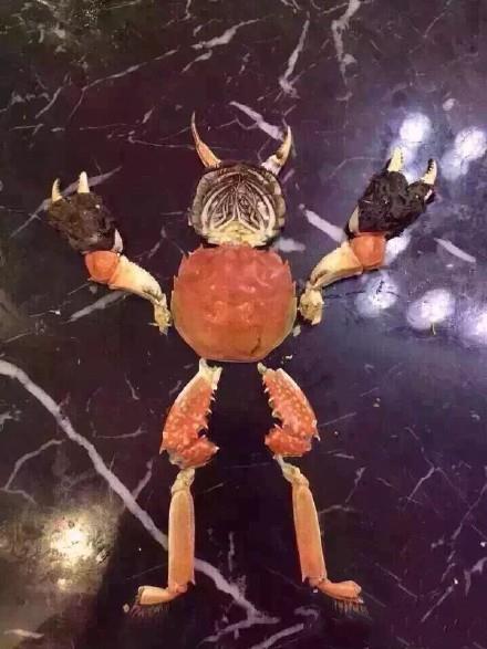 เทศกาลไหว้พระจันทร์ของจีน เทศกาลไหว้พระจันทร์ของจีน