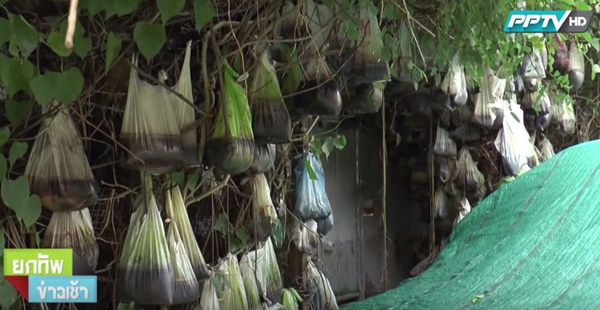 ลัทธิบูชาขี้หมา เปิดบ้านพิสูจน์มีศพในบ้านจริงหรือไม่ หลังลือใช้กลิ่นเหม็นกลบ ลัทธิบูชาขี้หมา เปิดบ้านพิสูจน์มีศพในบ้านจริงหรือไม่ หลังลือใช้กลิ่นเหม็นกลบ