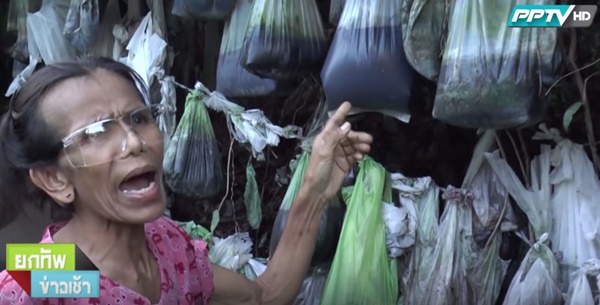 ลัทธิบูชาขี้หมา เปิดบ้านพิสูจน์มีศพในบ้านจริงหรือไม่ หลังลือใช้กลิ่นเหม็นกลบ ลัทธิบูชาขี้หมา เปิดบ้านพิสูจน์มีศพในบ้านจริงหรือไม่ หลังลือใช้กลิ่นเหม็นกลบ