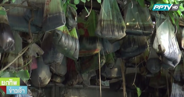 ลัทธิบูชาขี้หมา เปิดบ้านพิสูจน์มีศพในบ้านจริงหรือไม่ หลังลือใช้กลิ่นเหม็นกลบ ลัทธิบูชาขี้หมา เปิดบ้านพิสูจน์มีศพในบ้านจริงหรือไม่ หลังลือใช้กลิ่นเหม็นกลบ