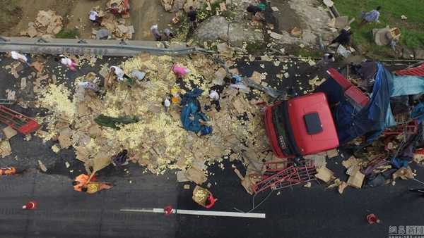 ลูกเจี๊ยบ ลูกเจี๊ยบ